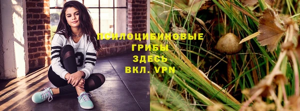 бутират Алзамай